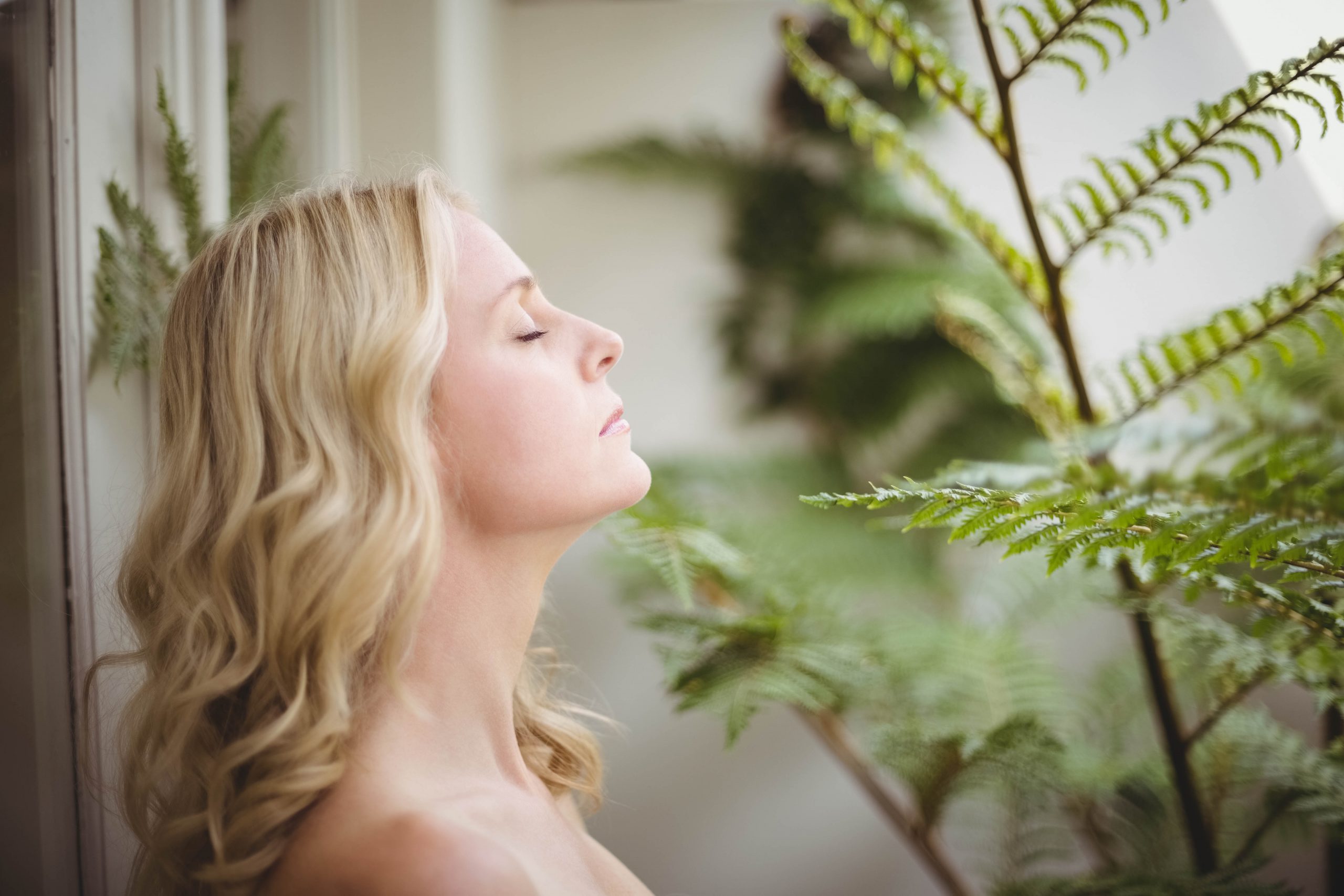 Aromatherapie Duft Natur