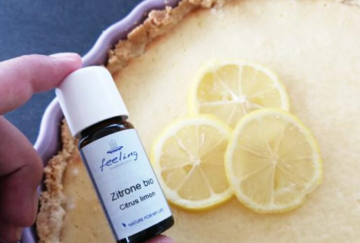 Rezept Zitronentarte mit Birkenzucker